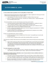 Datos importantes sobre el asma